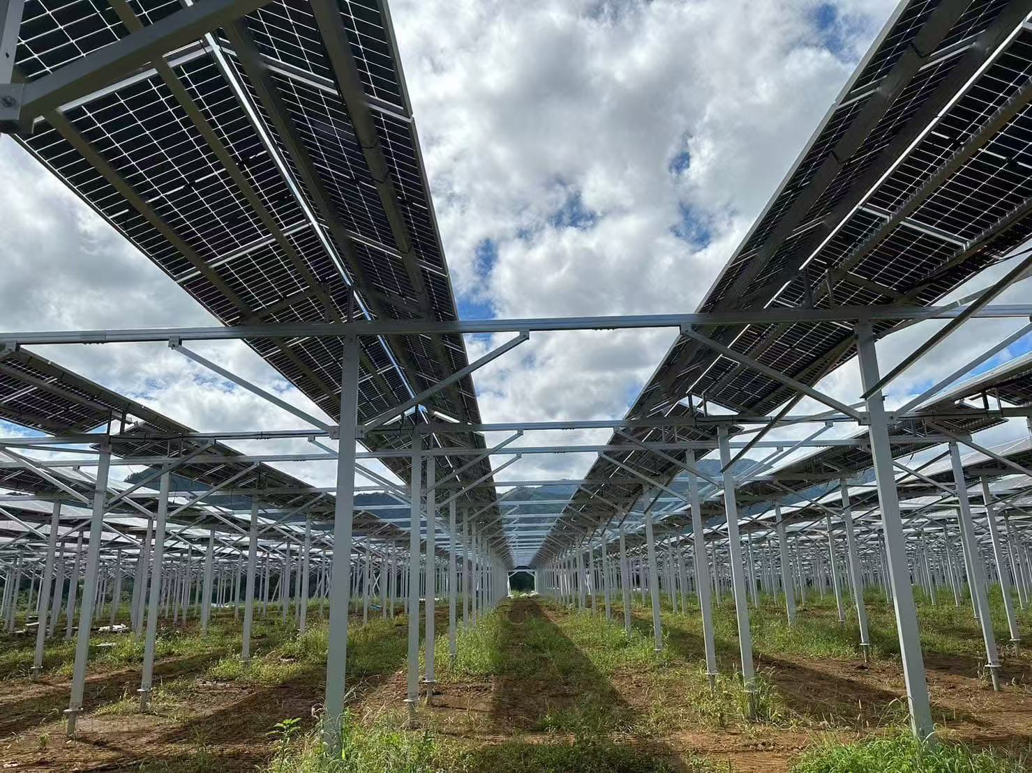 Voordelen van agrarische stalondersteuning